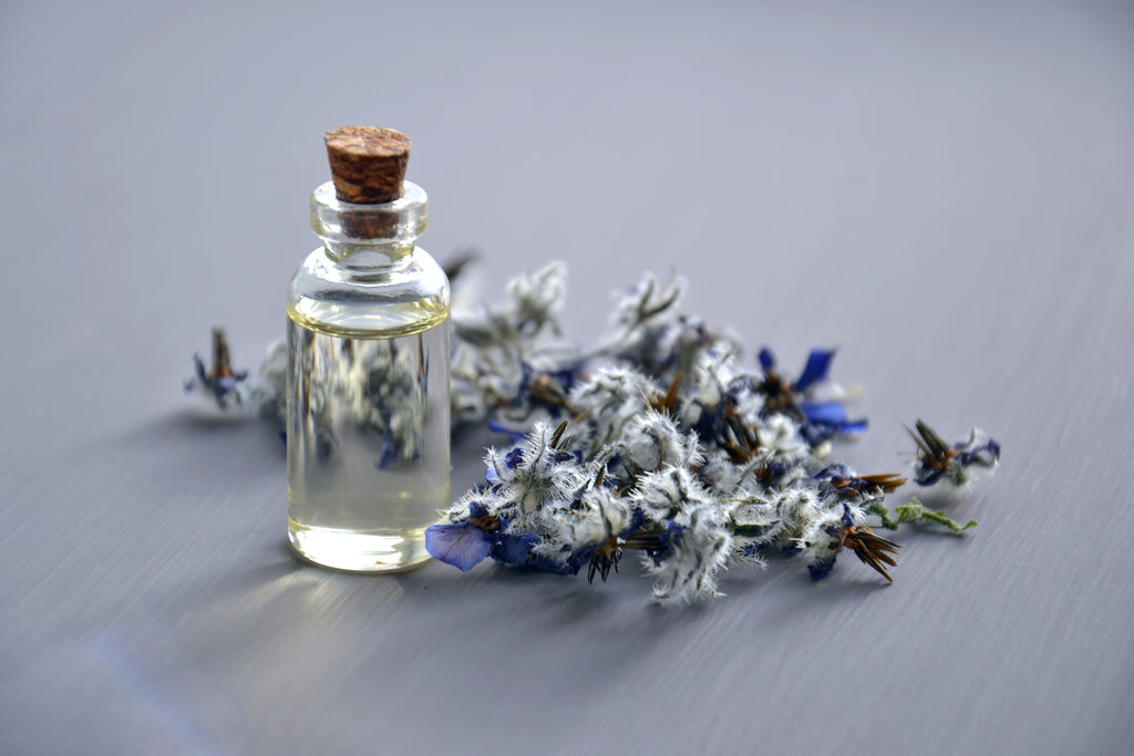 Uses and benefits of lavender essential oil